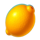 popok gaming money tree lemon symbol icon