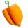 popping pinatas orange bellpepper symbol icon