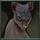 possessed cat 1 symbol icon