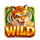 power of tiger wild symbol icon
