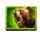 power pack bear symbol icon