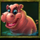 pragmatic play mr toad gold megaways hippo symbol icon