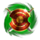 princess warrior shield symbol icon