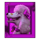 purrrminator dog 3 symbol icon