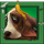 purrrminator dream drop dog 4 symbol icon