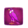pyramid piggies bird symbol icon