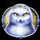 queen of ice winter kingdom owl symbol icon