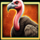queen of oasis vulture symbol icon