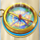 queen of the seas compass symbol icon