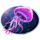 queen of water jellyfish symbol icon