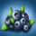 quetzal quest blueberries symbol icon