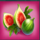 quetzal quest fruits symbol icon