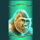raging rhino megaways gorilla symbol icon