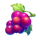 rainbow fruit flowin grape symbol icon