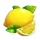rainbow fruit flowin lemon symbol icon