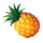 rainbow fruit flowin pineapple symbol icon