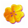 rainbow jackpots clover symbol icon
