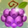 rainbow wilds purple berry symbol icon
