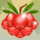 rainbow wilds red berry symbol icon