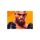 rapid strike rapid link orange fighter symbol icon