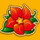 red chilli flower symbol icon