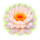 red dragon of luck flower symbol icon