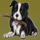 redroo dog symbol icon