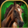 reel wolf horse symbol icon