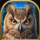 reel wolf owl symbol icon