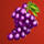 reels of flame grape symbol icon