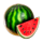 regal fruits 1000 melon symbol icon