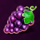 regal fruits 100 grapes symbol icon