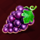 regal fruits 20 grapes symbol icon