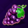 regal fruits 40 grapes symbol icon