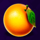 regal fruits 40 orange symbol icon