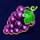 regal fruits 5 grapes symbol icon