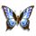 regal riches butterfly symbol icon