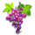 regal riches grape symbol icon
