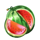 regal spins 10 xmas melon symbol icon