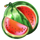 regal spins 20 melon symbol icon