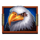release the bison eagle symbol icon