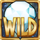 reno 7s wild symbol icon
