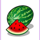 rich girl watermelon symbol icon