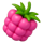 rico toucano raspberry symbol icon