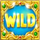 rio fever wild symbol 1 icon