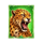 riot feral riches hold and win cheetah symbol icon