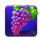 ripe rewards grapes symbol icon