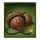 roadkill acorns symbol icon