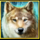 roar of the bear megaways wolf symbol icon
