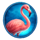 roaring lions brasil jackpot flamingo symbol icon